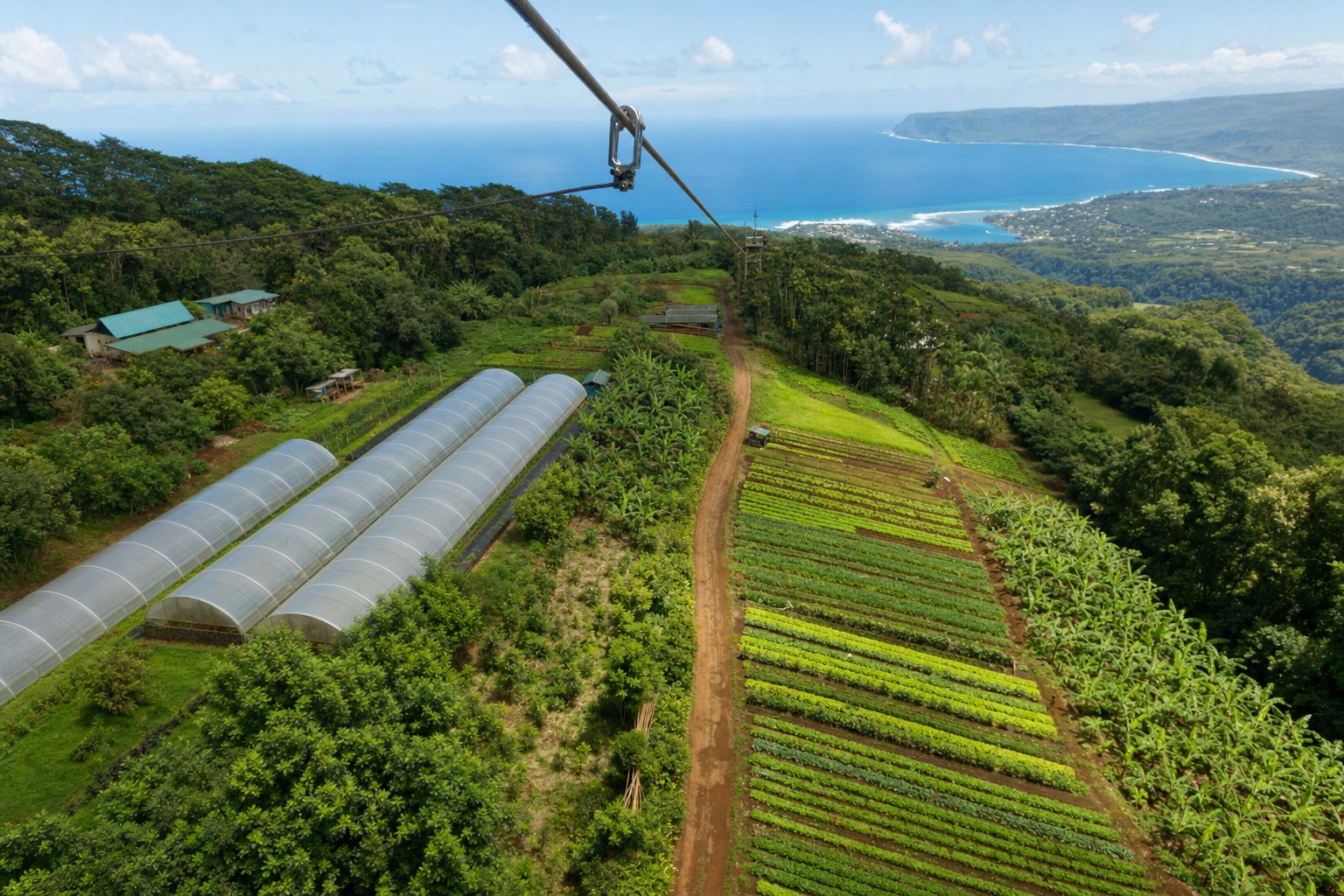 Aerial view of a working farm hillside with cultivated rows and a zipline cable above them