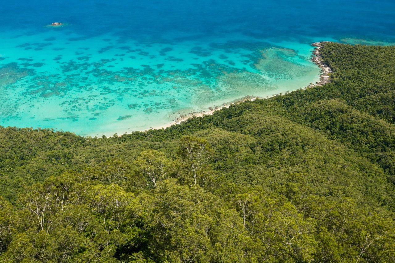 Aerial view of dense green ridge forest descending to a turquoise reef coastline